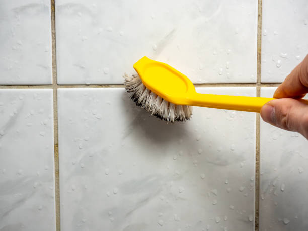 Best Mold Removal Company Near Me  in Claymont, DE