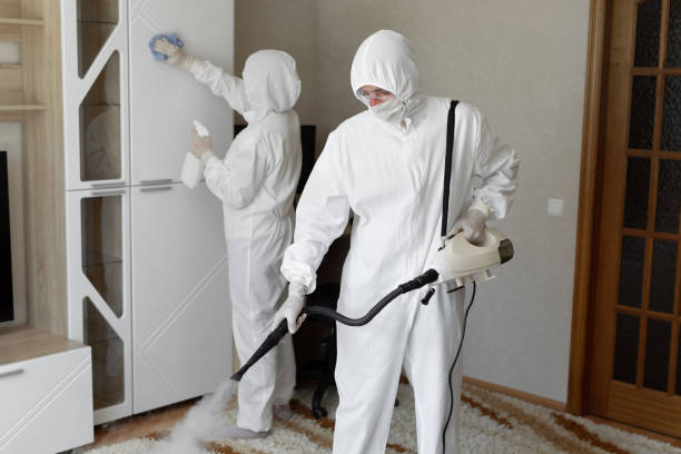 Crawl Space Mold Removal in Claymont, DE