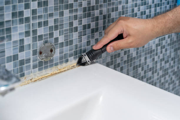 Certified Mold Removal in Claymont, DE