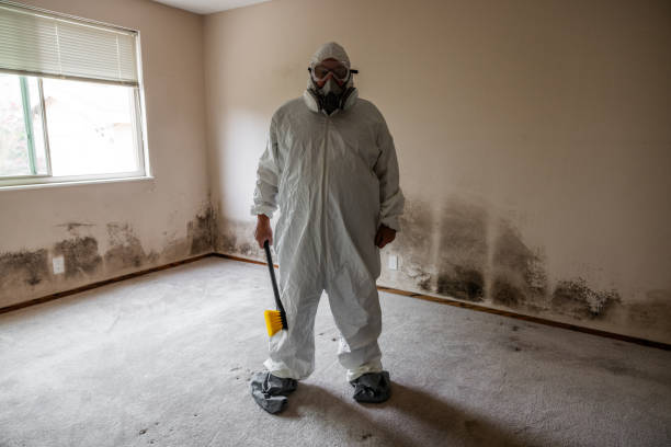 Best Commercial Mold Removal  in Claymont, DE